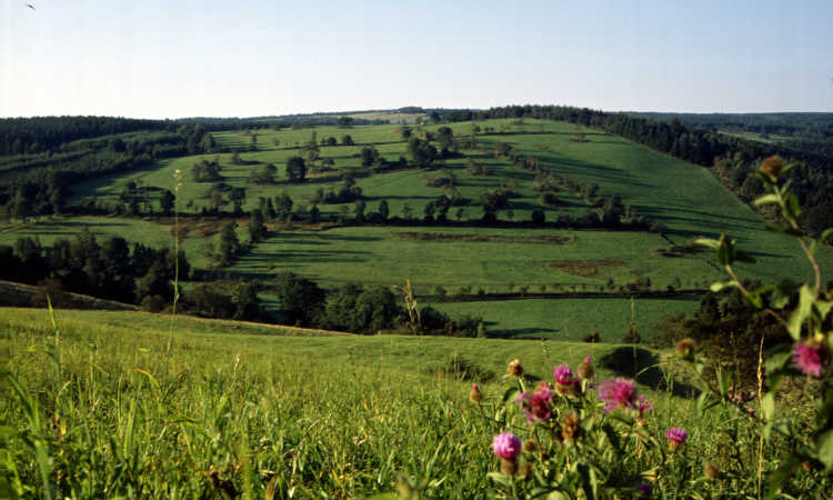 Obergraupen in Tschechien