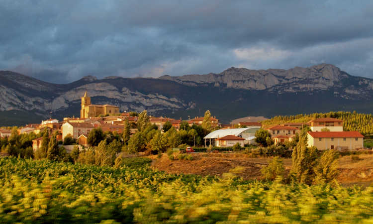 Durch das Weinanbaugebiet Rioja